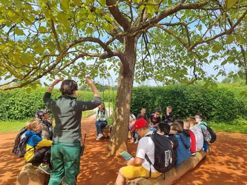 sous l'arbre africain