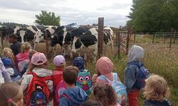 IMG_20250623_100822