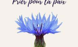 abbbfee1-e33f-44a2-b4c7-9ef0b19f257d